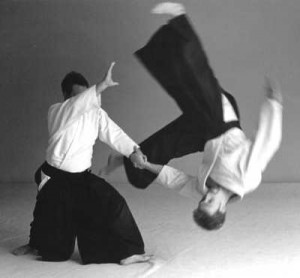 aikido.jpg